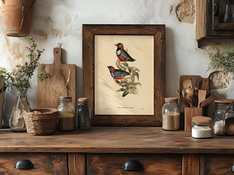 A vintage illustration of two colorful birds perched on a branch with green leaves, framed in dark wood and positioned on a rustic wooden surface surrounded by glass jars, wooden cutting boards, a wicker basket, and potted plants, all set against a textured, white plaster wall.