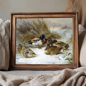 A framed painting of ducks resting on snow in a winter landscape with grass. The wooden frame sits on a cozy beige couch, evoking warmth.