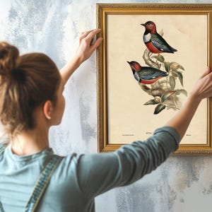 A woman with light brown hair styled in a messy bun is hanging a framed vintage botanical illustration of two colorful birds perched on a branch on a textured light-colored wall. She is wearing a light blue shirt with a patterned strap over her shoulder and is holding the frame with both hands, carefully positioning it. The illustration features detailed, realistic depictions of the birds with green leaves and branches, and the frame is ornate and gold-colored.