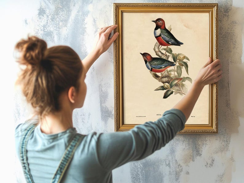 A woman with light brown hair styled in a messy bun is hanging a framed vintage botanical illustration of two colorful birds perched on a branch on a textured light-colored wall. She is wearing a light blue shirt with a patterned strap over her shoulder and is holding the frame with both hands, carefully positioning it. The illustration features detailed, realistic depictions of the birds with green leaves and branches, and the frame is ornate and gold-colored.