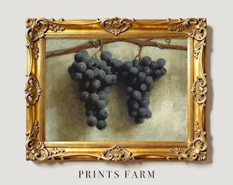 Grape Still Life, Vintage Fruit Print, Kitchen Decor / P81