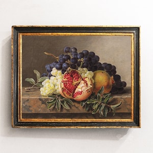 Fruits Still Life, Pomegranate Painting, Fruits Vintage Print, Grape Still Life, Kitchen Decor / P223