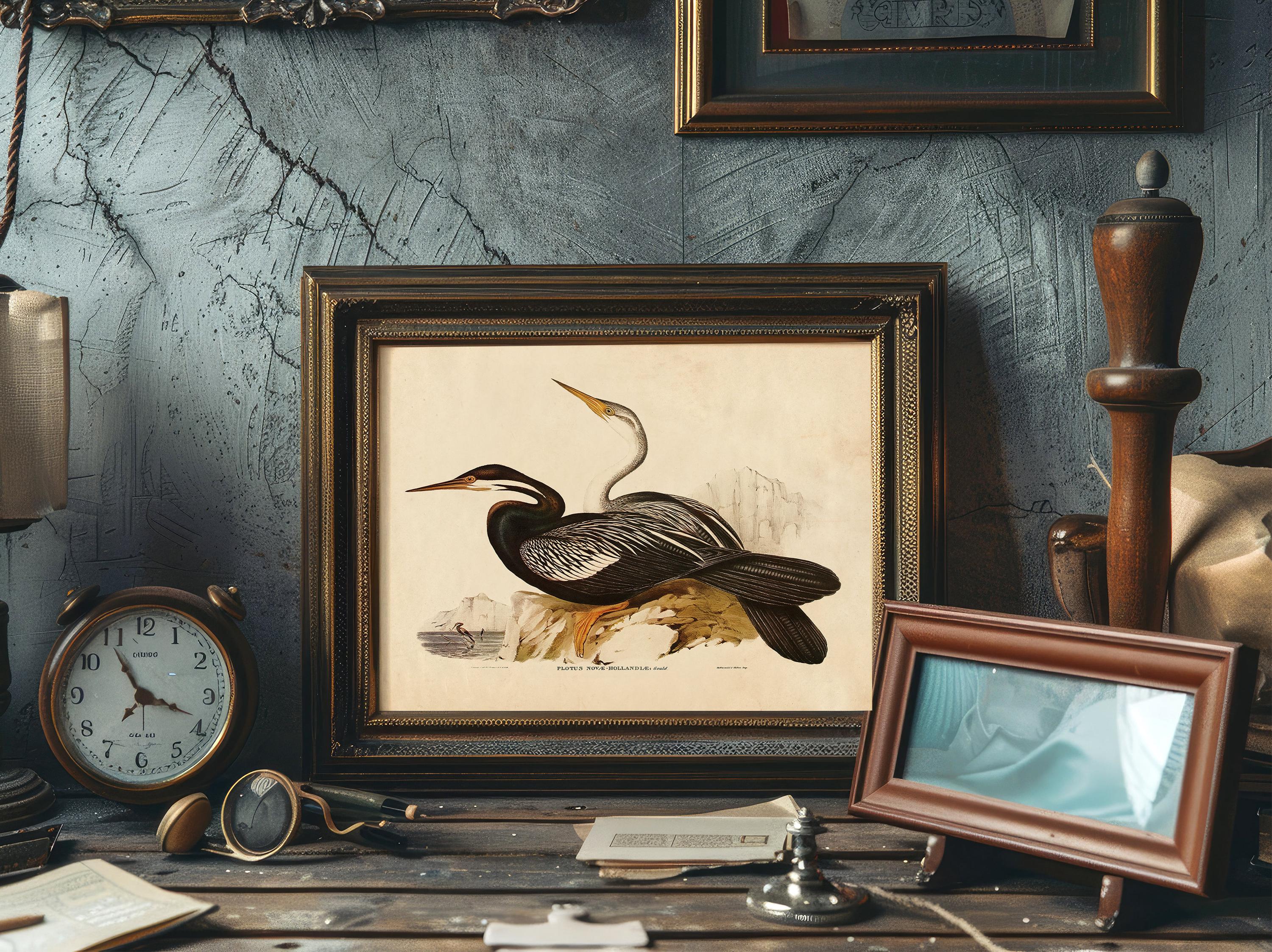 Vintage Sea Bird Print, Audubon Wall Art, Beach House Decor / P370 - Etsy