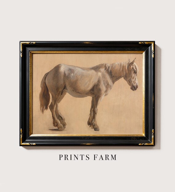Equestrian Painting, Horse Portrait, Farmhouse Wall Art / P154