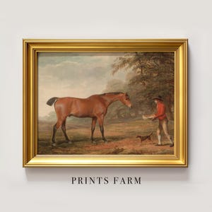 Antique Horse Painting, Equestrian Print / P122