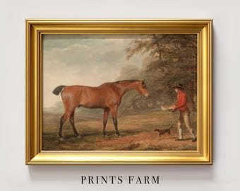 Antique Horse Painting, Equestrian Print / P122