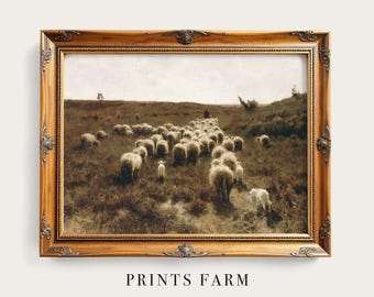 Rustic Sheep Painting, Farm Animal Print, Countryside Decor / P274