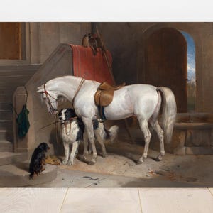 A peaceful stable scene features a white horse with a saddle, flanked by two attentive dogs. They stand on a stone floor near a staircase, with sunlight pouring through a doorway.
