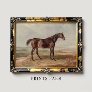Vintage Equine Painting, Equestrian Print, Horse Lover Gift / P108