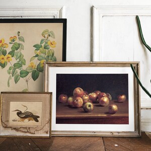 Framed artwork leaning against a white wall: botanical illustration with yellow flowers, a painted bird, and apples on a table. A cactus is on the right.