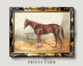 Vintage Horse Painting, Equestrian Art Print, Farmhouse Decor / P802
