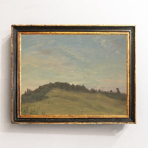 Vintage Meadow Landscape, Moody Country Wall Decor / P438