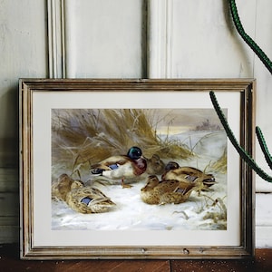 Framed painting of ducks resting on a snowy landscape, with reeds in the background, leaning against a textured white wall. Calm and natural setting.