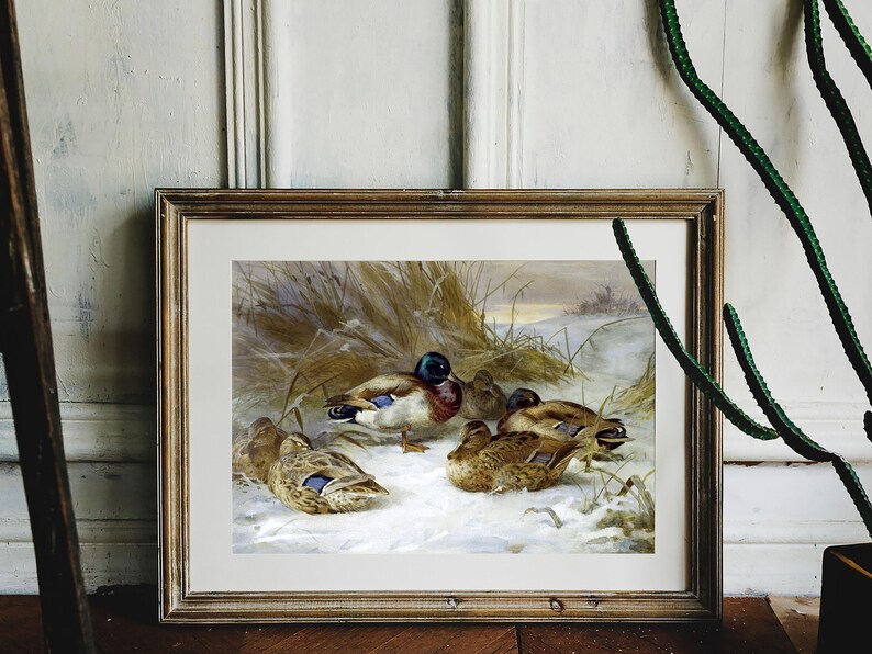 Framed painting of ducks resting on a snowy landscape, with reeds in the background, leaning against a textured white wall. Calm and natural setting.