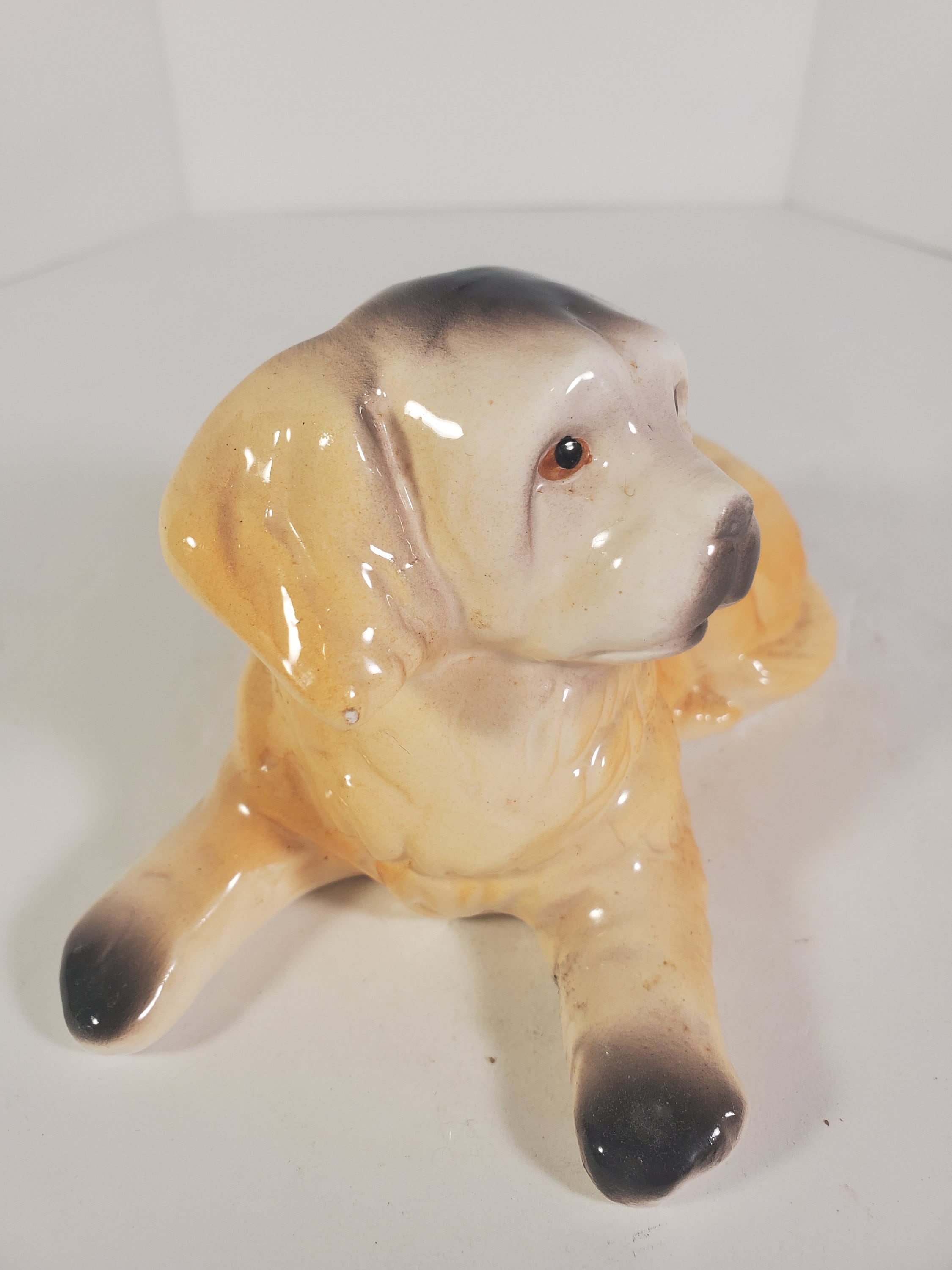 Small Spaniel Dog Ceramic Figurine Vintage Etsy