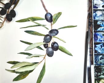 オリーブの枝のオリジナル水彩画、食べ物のイラスト、ギリシャの植物の