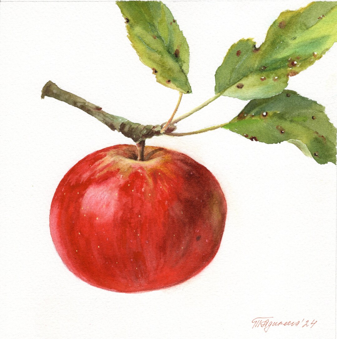 Red Apple ORIGINAL Painting Watercolor Botanical Art Apple Tree Wall ...