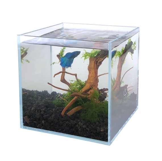 The Boutique Betta 20cm Glass Cube Tank Only 