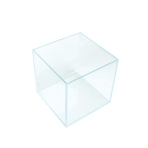 The Boutique Betta 20cm Glass Cube Tank Only