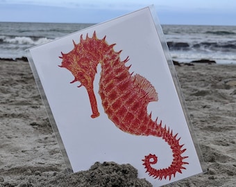 Sea Horse - Sea Creature Art Print