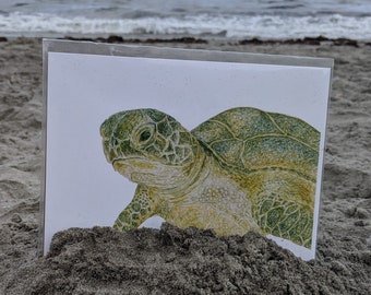 Sea Turtle - Sea Creature Art Print