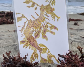 Leafy Sea Dragon - Sea Creature Art Print