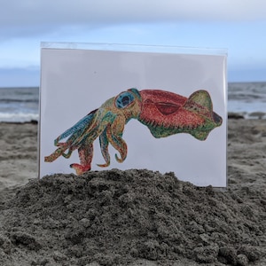 Squid - Sea Creature Art Print