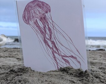 Jelly Fish - Sea Creature Art Print