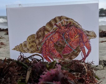 Hermit Crab - Sea Creature Art Print
