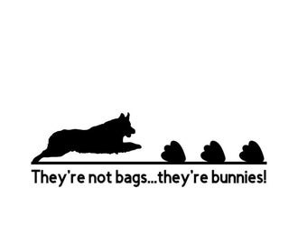 Australian Shepherd FastCAT Decal, Permanent Decal, Aussie Fast CAT Decal