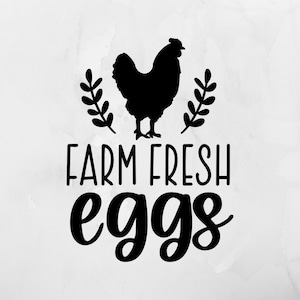 Farm Fresh Eggs Decal, Farmhouse Decal, Decal for Home, Kitchen Decal, Car Decal, Vehicle Decal, Chicken Decal