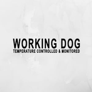 Working Dog Temperature Controlled and Monitored Permanent Decal for Car, Working Dog Being Monitored Decal for Car
