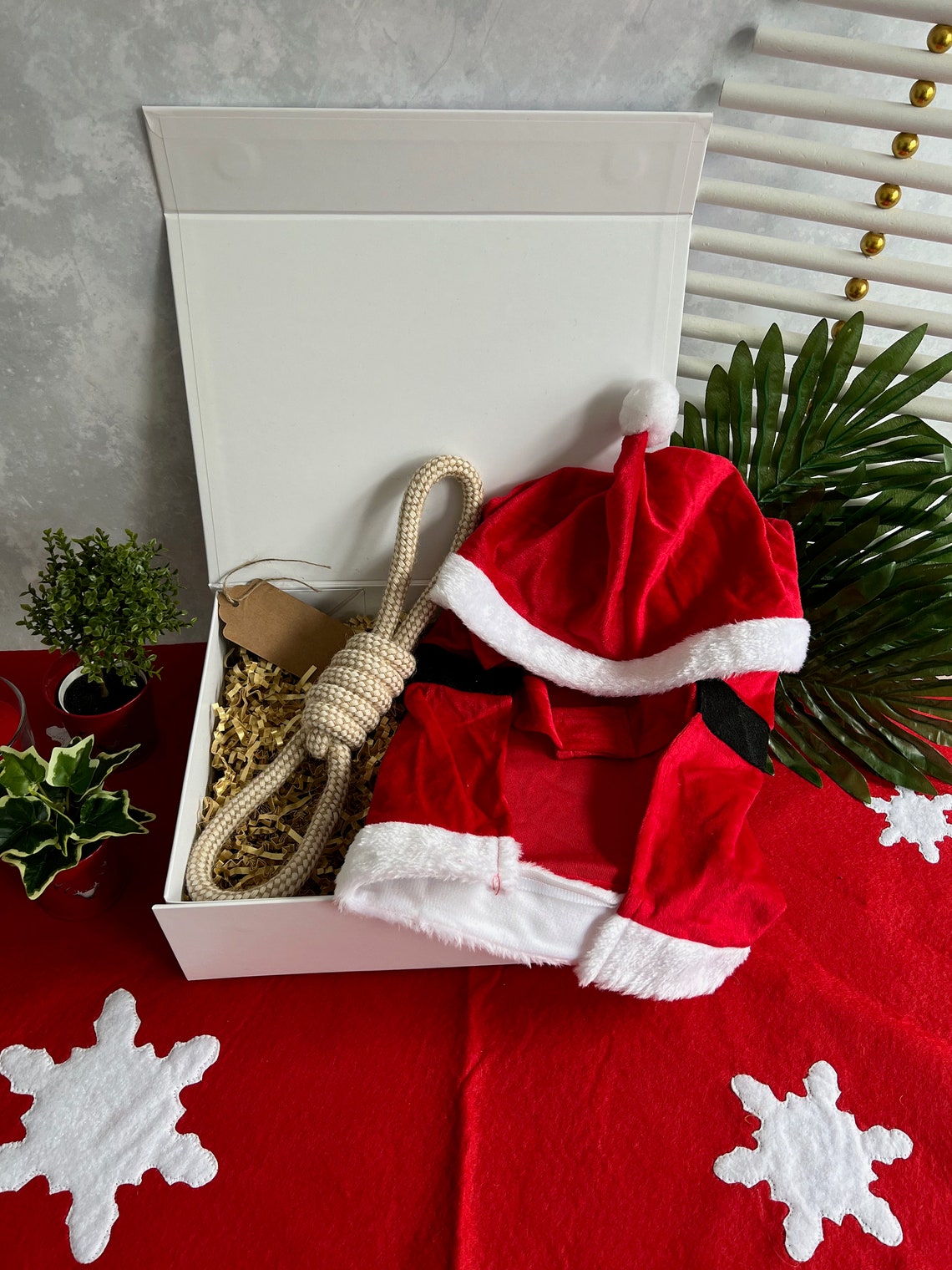 Christmas Gift Box for Pet Dog Gift Set Christmas Gift for Pet | Etsy
