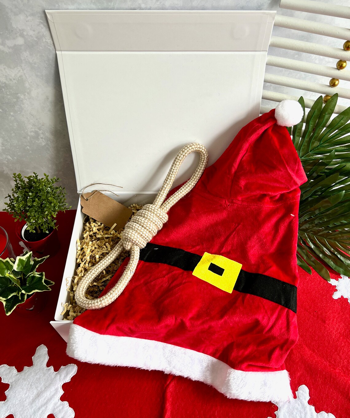 Christmas Gift Box for Pet Dog Gift Set Christmas Gift for Pet | Etsy