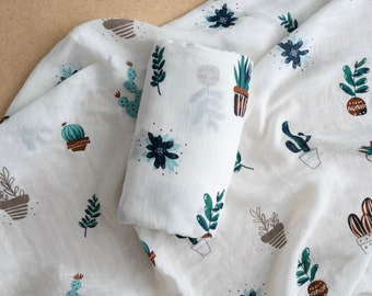 succulent swaddle