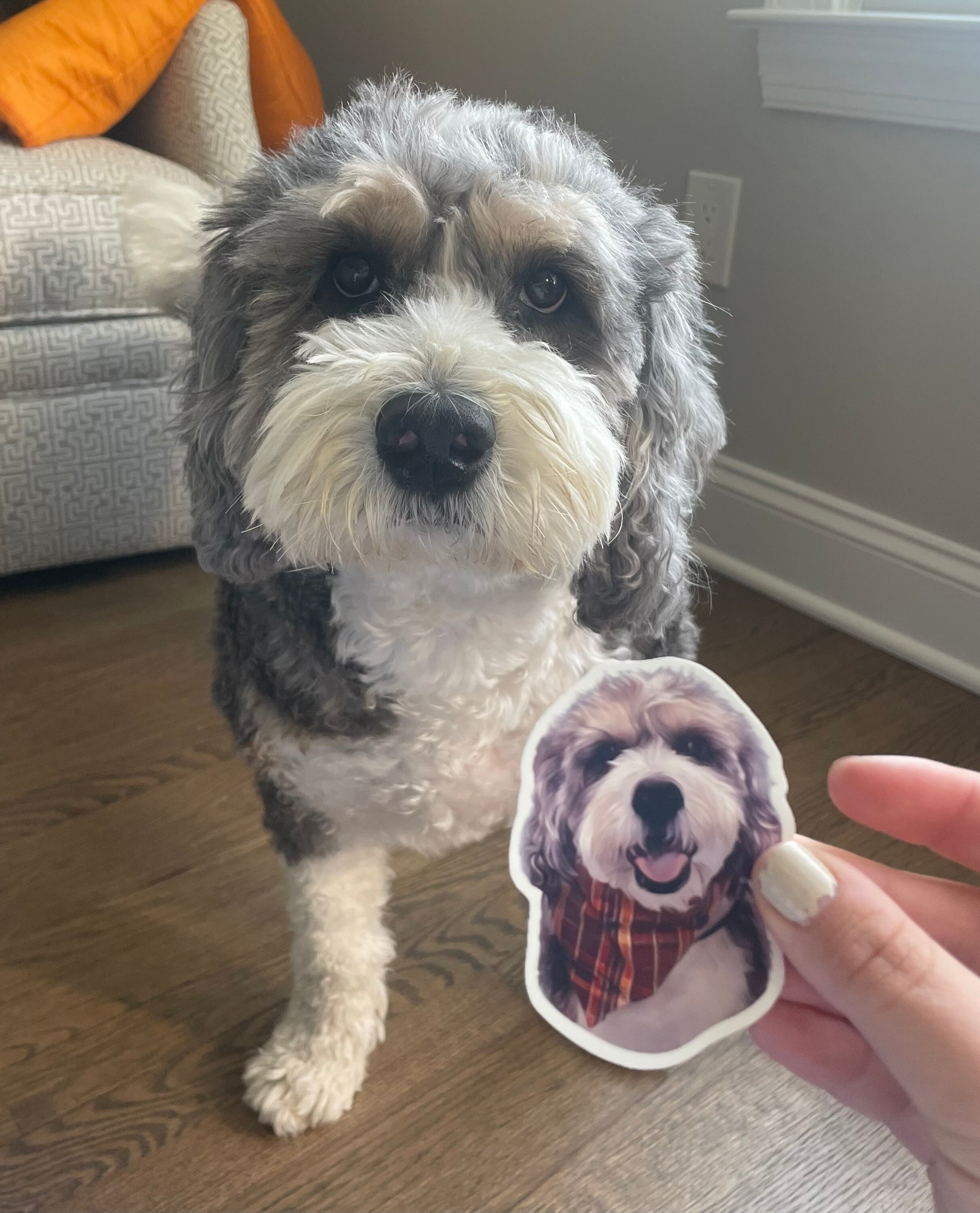 Okay Dog Sticker Custom Dog Sticker - Etsy