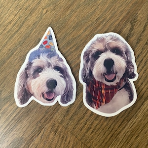 Custom Dog Sticker