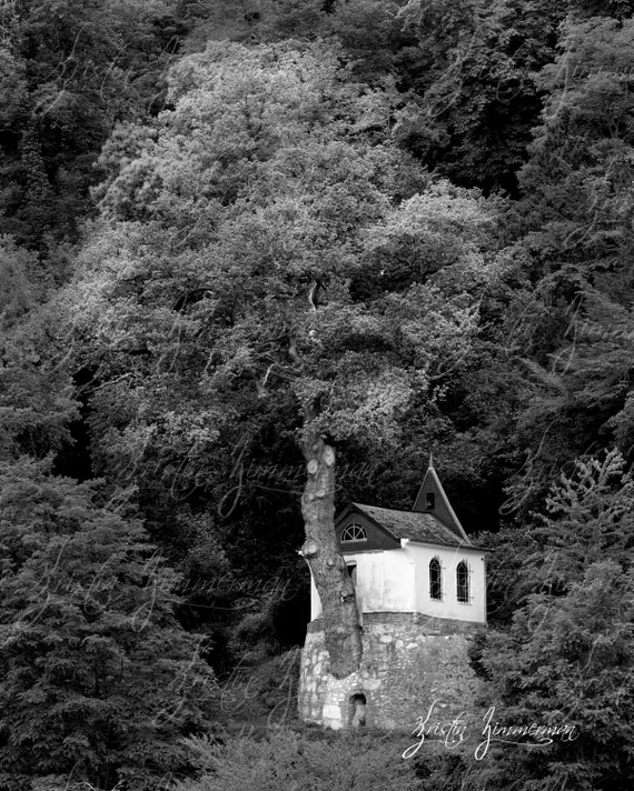 Whimsical Tree House Black and White Etsy