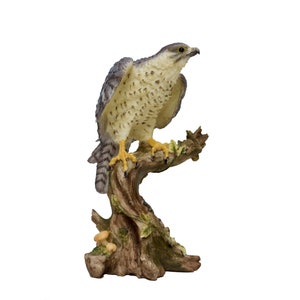 5.9 Inc Falcon resin Statue