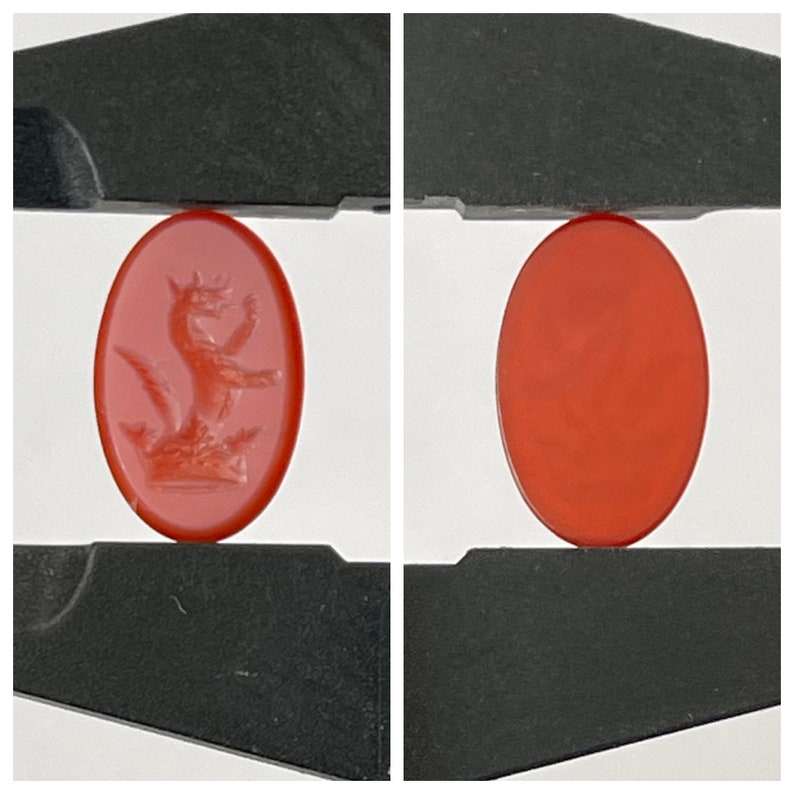 Op de afbeelding: Twee rode carneol-cabochons, een met een gegraveerd beeld van een mythisch wezen, worden vastgehouden in een zwarte metalen klem.