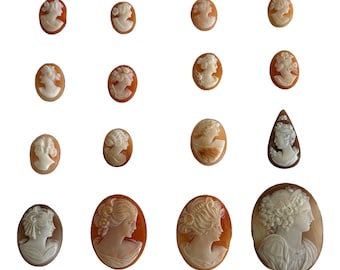 Victoriaanse cameo met gesneden schelp: voorraad antieke sieraden