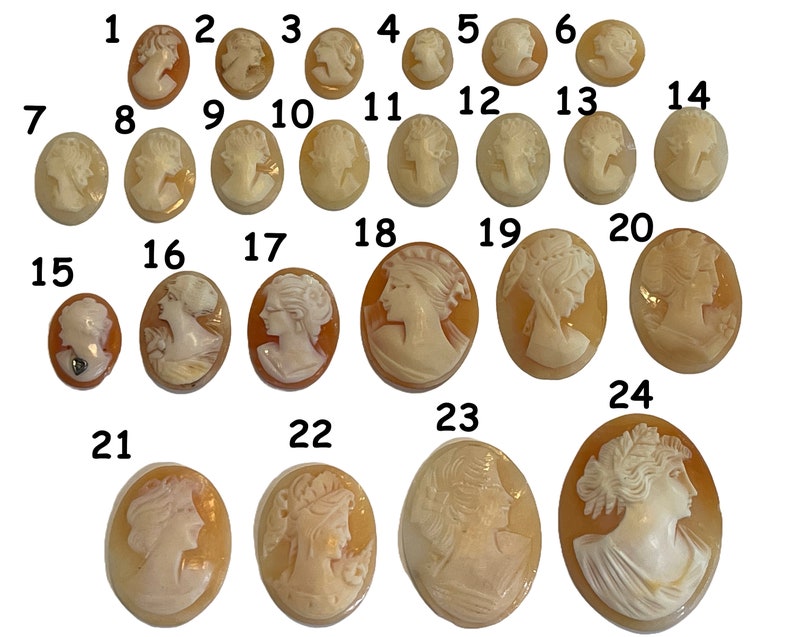 May include: Twenty-four oval-shaped cameo pendants with white figures carved in relief against a light brown background. The cameos are numbered 1 through 24.
