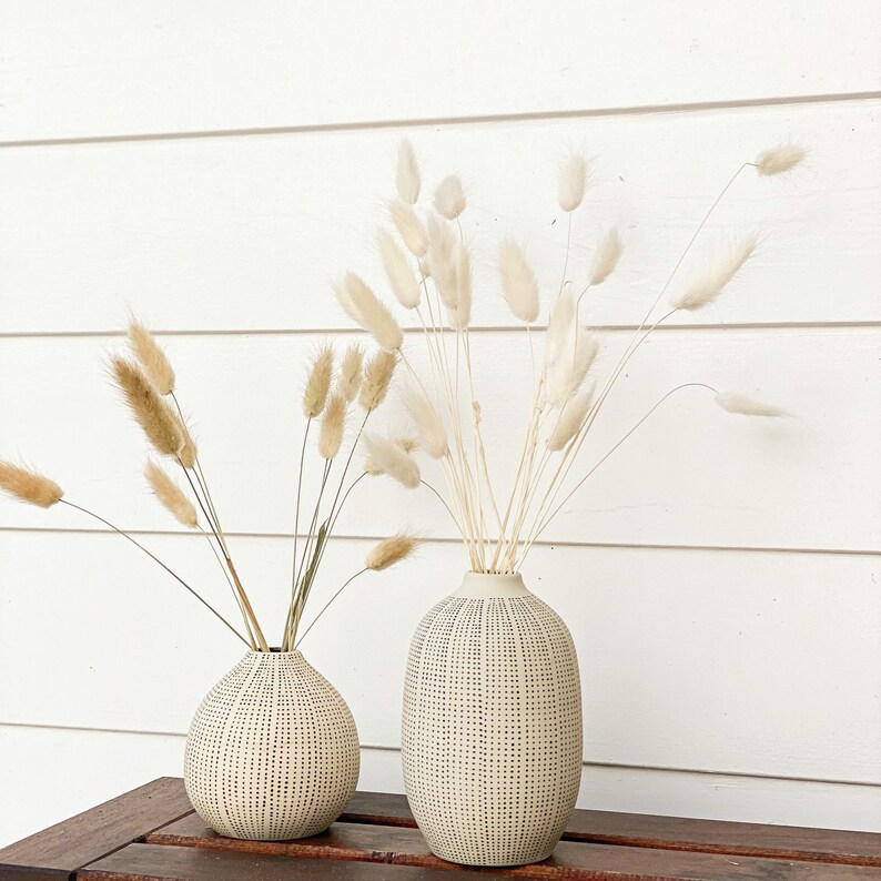 Natural / White Bunny Tails Pampas Grass Lagurus Ovatus Etsy