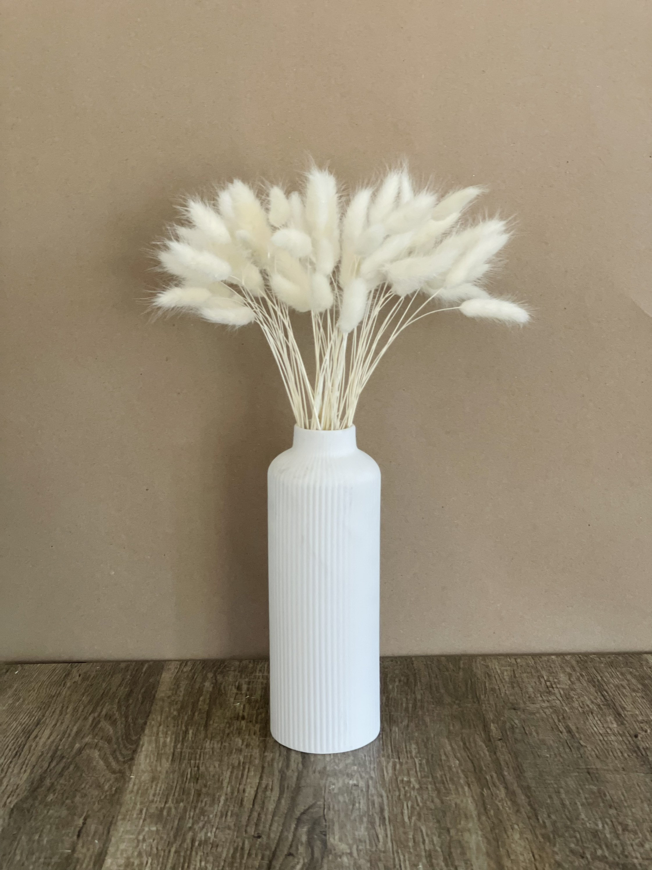 Natural / White Bunny Tails Pampas Grass Lagurus Ovatus Etsy
