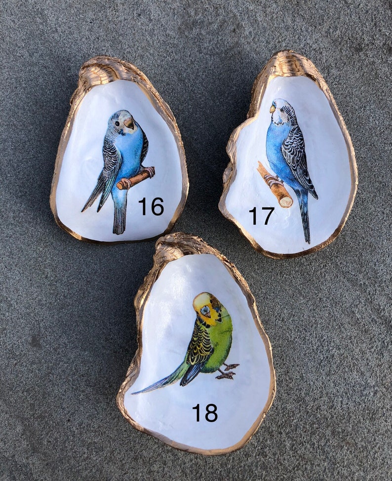 Oyster Shell Ring Dish, Decoupage jewelry trinket holder, Bird, Budgie, Parakeet, Cardinal, Hummingbird, Wren, Robin, Coastal decor image 4