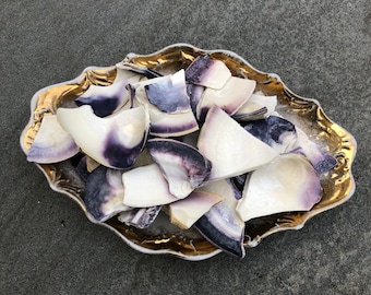 Wampum pieces, Quahog clam shell pieces, broken purple seashells, jewelry making, crafts