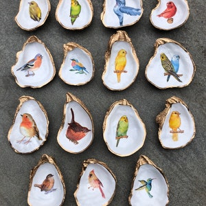 Oyster Shell Ring Dish, Decoupage jewelry trinket holder, Bird, Budgie, Parakeet, Cardinal, Hummingbird, Wren, Robin, Coastal decor image 2