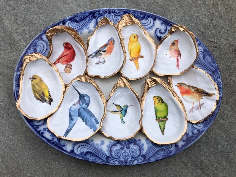 Oyster Shell Ring Dish, Decoupage jewelry trinket holder, Bird, Budgie, Parakeet, Cardinal, Hummingbird, Wren, Robin, Coastal decor image 1