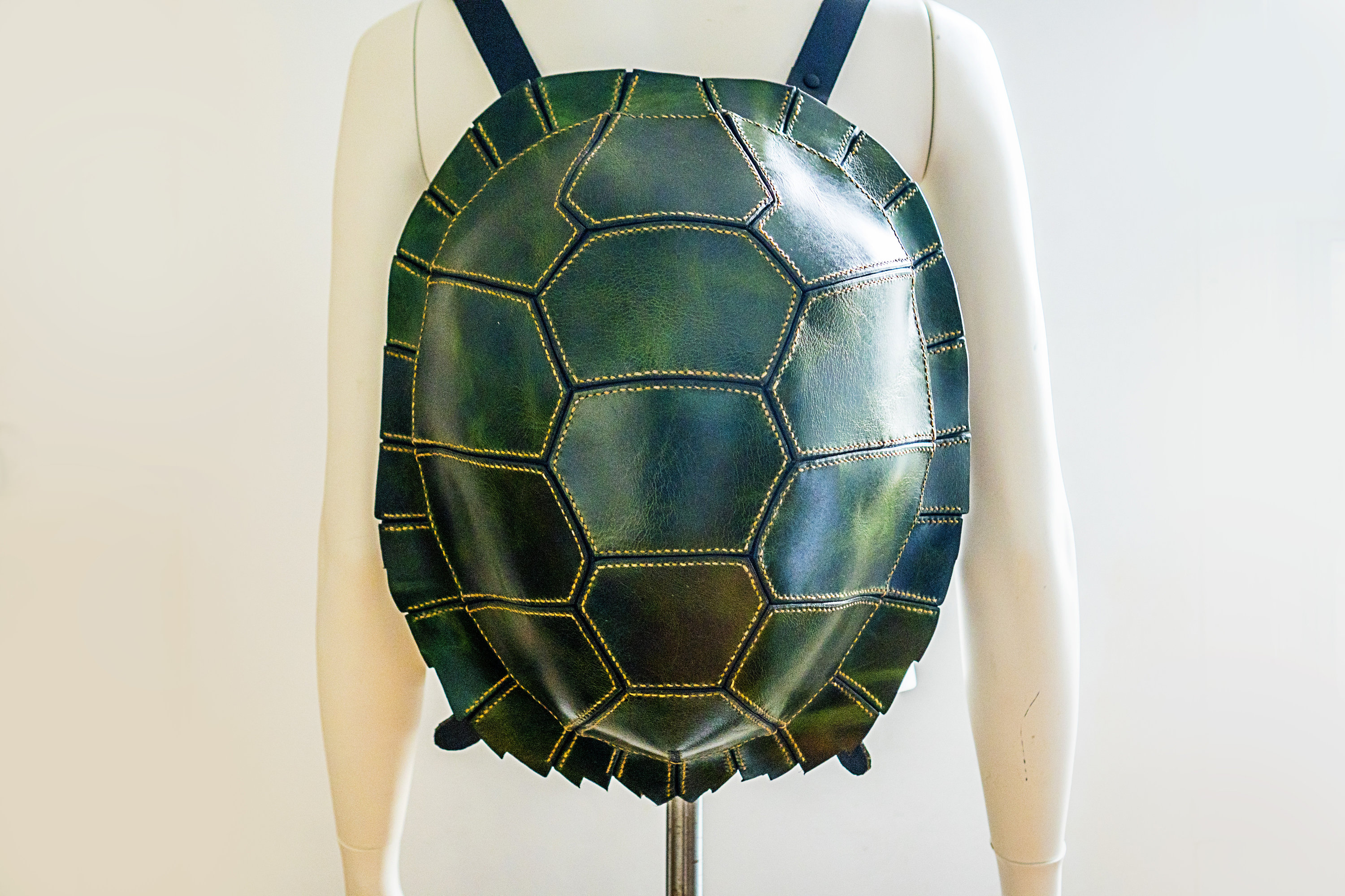 Hard turtle shell backpack hotsell