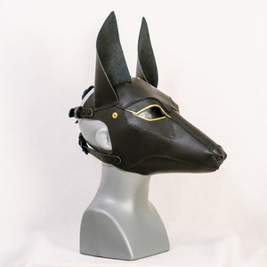 May include: A black leather mask with gold accents, resembling an Anubis head. The mask has a strap for wearing.